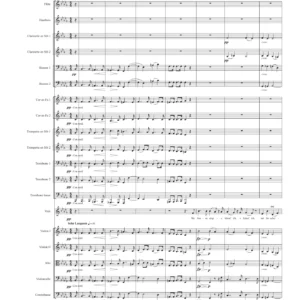 Der Jüngling und der Tod (Orchestre)